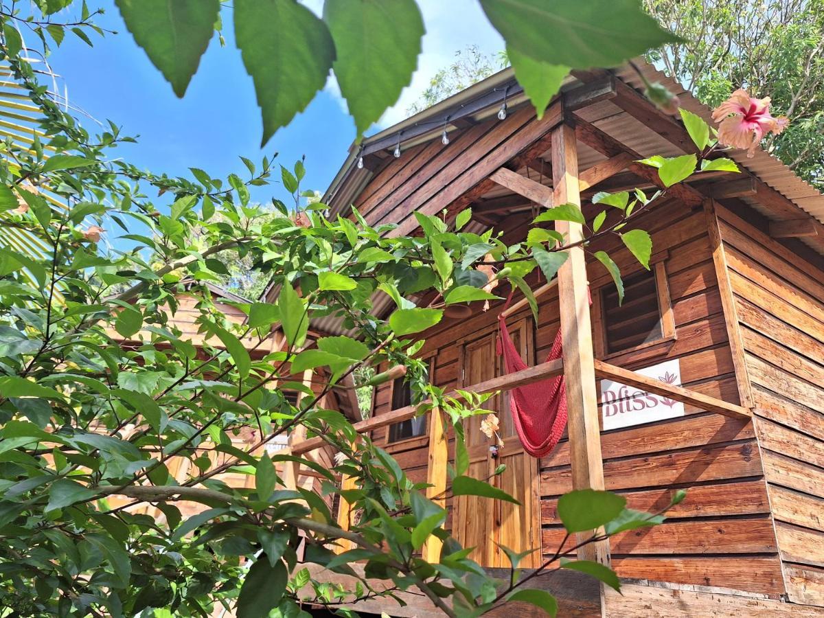 The Lighthouse Retreat, Little Corn Island, Nicaragua Hotel Ngoại thất bức ảnh