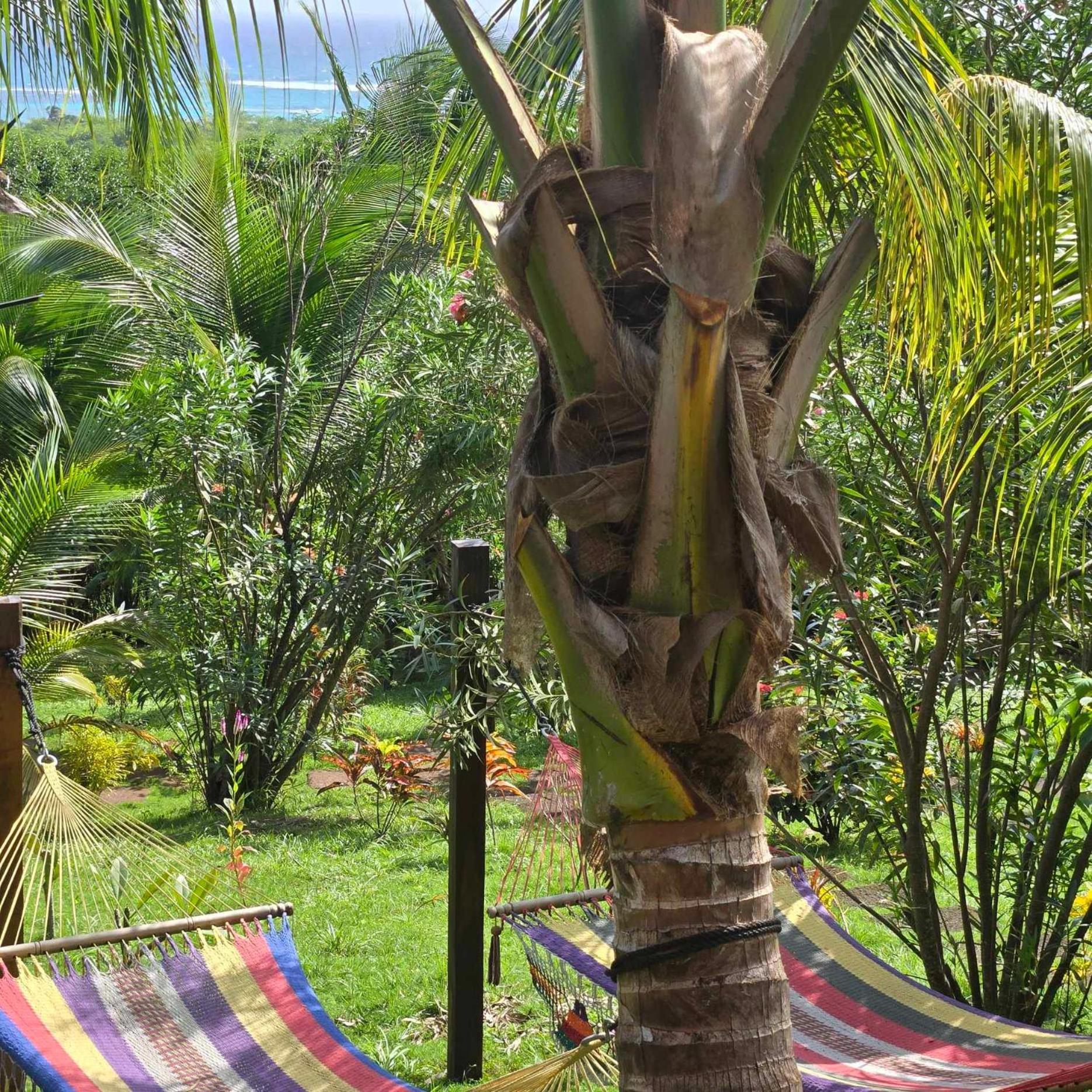 The Lighthouse Retreat, Little Corn Island, Nicaragua Hotel Ngoại thất bức ảnh